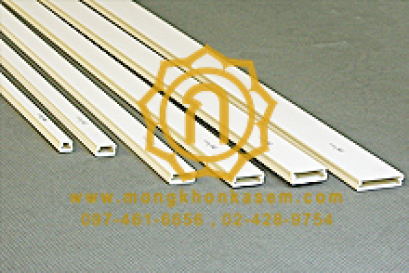 Wire Way Mini Trunking : รางเก็บสายไฟสำหรับงานตกแต่ง (PRI Type DD)